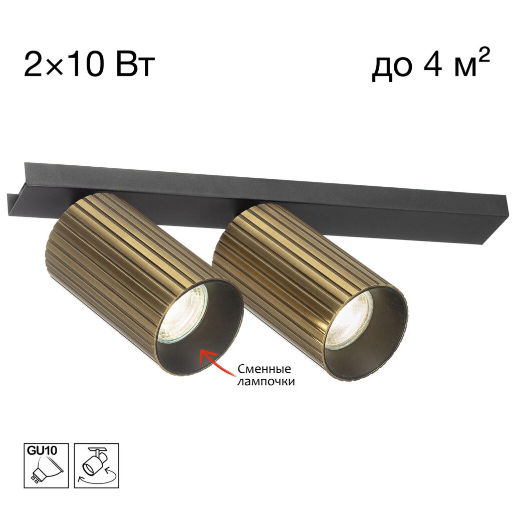 Citilux AXEL CL512523R Спот поворотный двойной Бронза Рифлёный